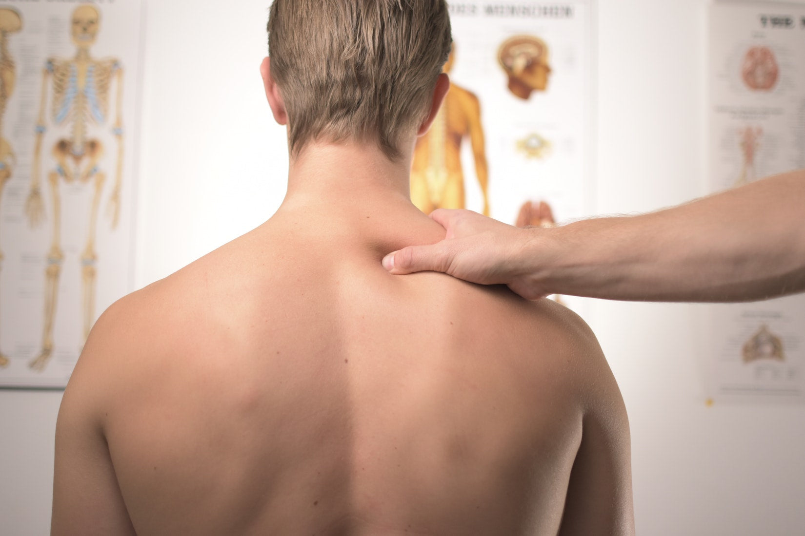 Gibljivost hrbtenice in moč mišic trupa